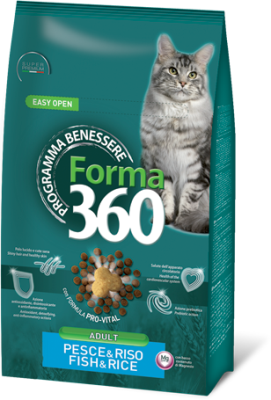 Forma 360