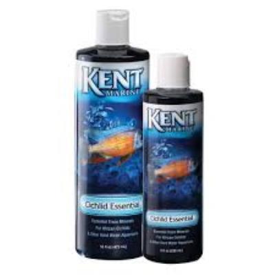 Kent 