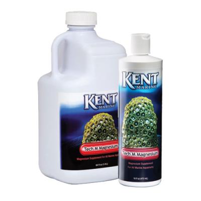 Kent