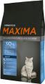 Maxima Cut