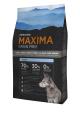 Maxima