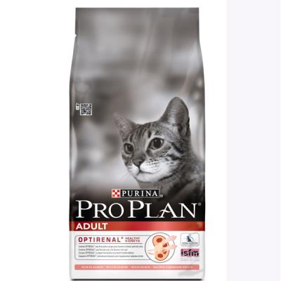 Pro Plan