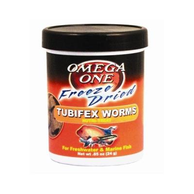 Tubifex Worms